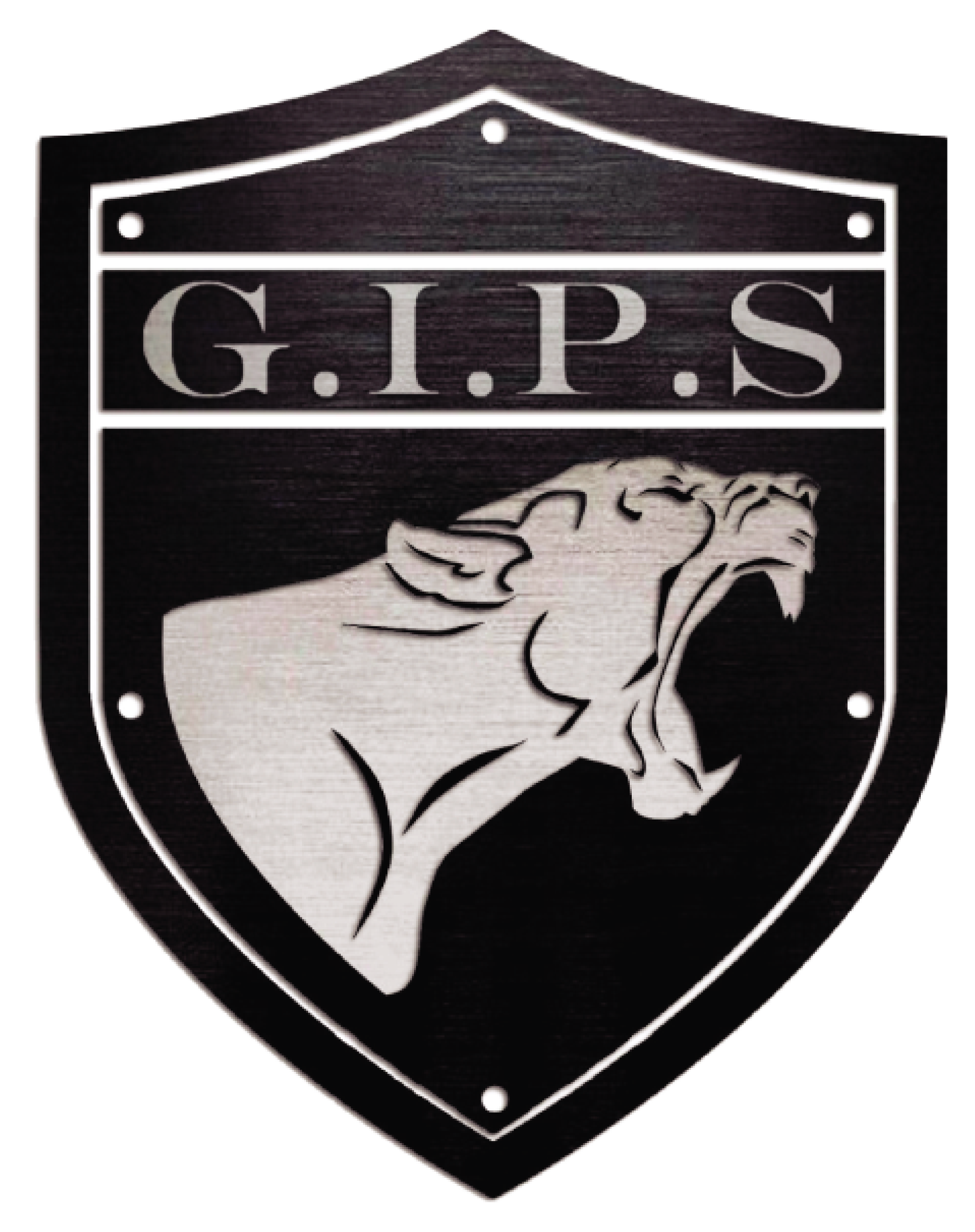 GIPS - 59 - GARDIENNAGE INTERVENTION ET PROTECTION EN SÉCURITÉ A LILLE